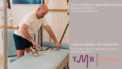 Product image for Joe's Auxiliary apparatus
