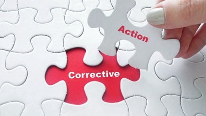 Product image for CAPA: Definition, Plan and Program