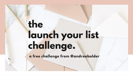 Product image for The Launch Your List Challenge