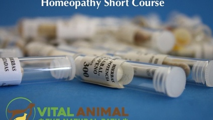 Product image for Homeopathy Short Course
