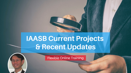 Product image for (English) IAASB Current Projects & Recent Updates by Johnny Yong