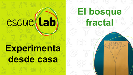 Product image for El bosque fractal
