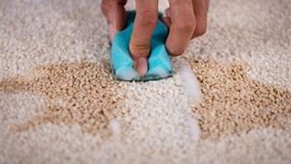 Product image for 7.  Carpet Colour Repair