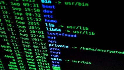 Product image for Essential command line programs