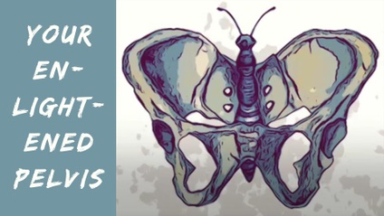 Product image for Your Enlightened Pelvis