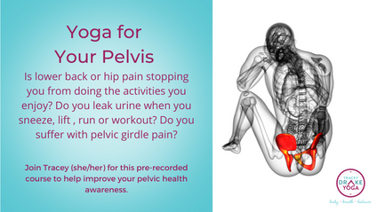Product image for Yoga for Your Pelvis