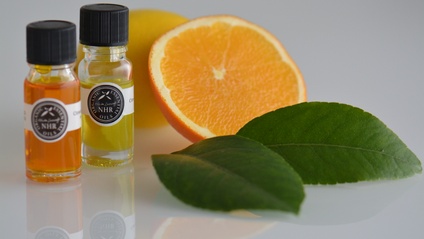 Product image for Aromaterapija za vsakodnevne izzive
