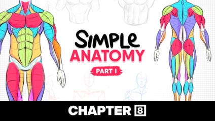Product image for Simple Anatomy | Part 1 - Drawing Camp CH8