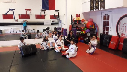 Product image for PURPLE TO BLUE BELT CURRICULUM