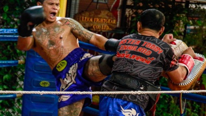 Product image for Muay Thai Basic to Intermediate Level