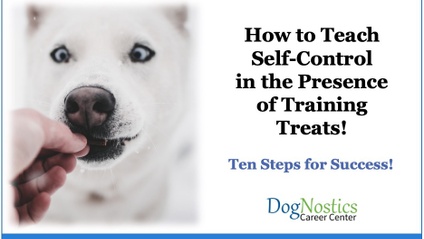 Product image for Teaching Self-Control in the Presence of Food