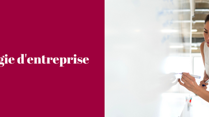 Product image for La stratégie d'entreprise