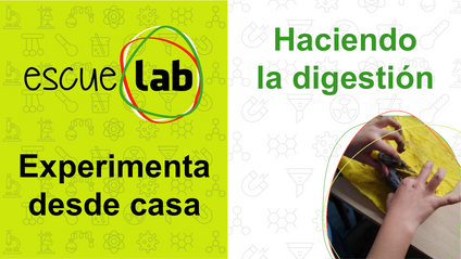 Product image for Haciendo la digestión