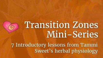 Product image for Transition Zones – Mini-Series