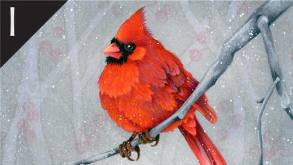 Product image for Red Bird