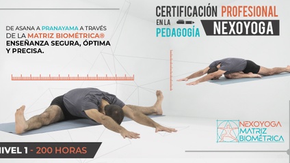 Product image for Certificación Profesional en la PEDAGOGÍA NEXOYOGA. NIVEL 1  (200 horas)