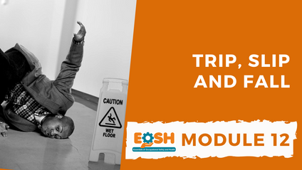Product image for Trip, Slip and Fall