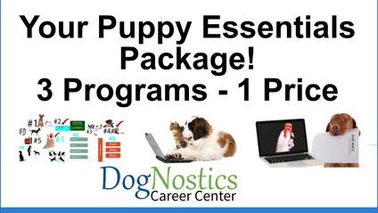 Product image for Puppy Essentials - Your Three Level Virtual or In-Person Puppy Instructor Program