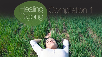 Product image for Healing Qigong Series - Compilation 1. Strengthen your immune system and increase Longevity