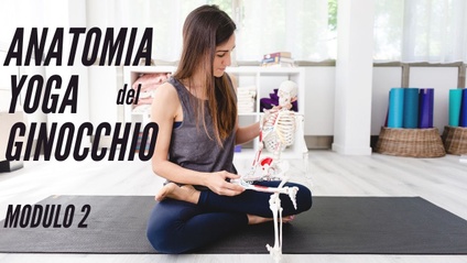 Product image for GINOCCHIO - Modulo 2