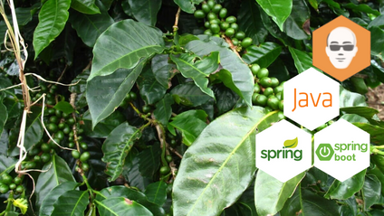 Product image for Bien débuter avec Spring et Spring Boot