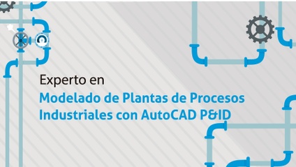 Product image for Experto en Modelado de Plantas de Procesos Industriales con AutoCAD P&ID