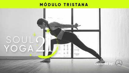 Product image for SOULYOGA 21: Principios de alineamiento