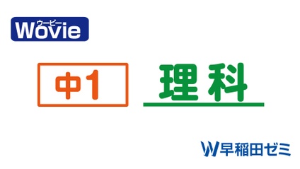 Product image for 中１　理科