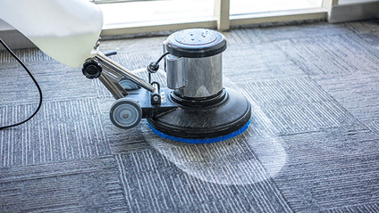 Product image for 5.  Alternative Methods of Cleaning