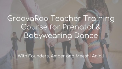 Product image for Teach the GroovaRoo™ Way