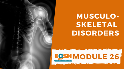 Product image for Musculoskeletal Disorders
