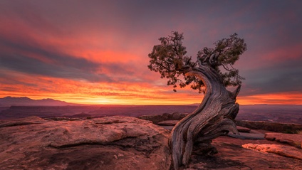 Product image for Exposure Blending Master Class