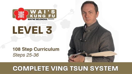 Product image for Sifu Wayne's Complete Ving Tsun System 3
