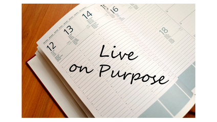 Product image for Living IN Purpose and ON Purpose VIP Membership