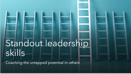 Product image for Standout Leadership