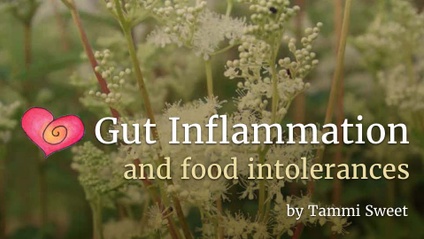 Product image for Gut Inflammation & Food Intolerance
