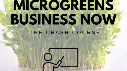 Product image for Start Your Microgreens Business Now - The Crash Course