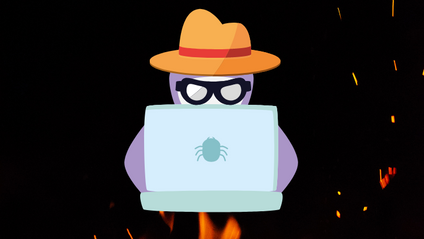 Product image for Format String Vulnerabilities