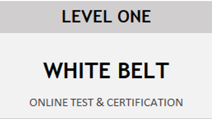 Product image for Lean Six Sigma White Belt