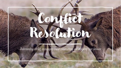 Product image for Conflict Resolution