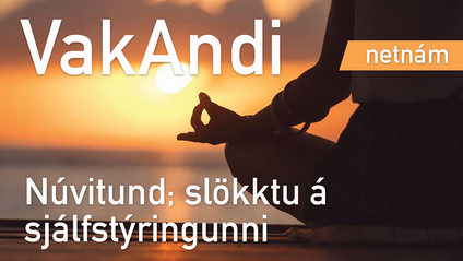 Product image for VakAndi - Vitundarþjálfun - NETNÁM 14. nóvember