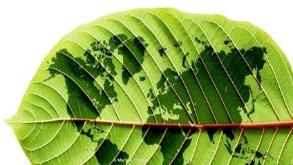 Product image for Sustainability Concepts: A necessary framework for our geoscience-related organization & individual
