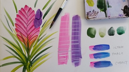 Product image for Colorful Botanicals