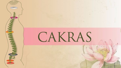 Product image for Cakras