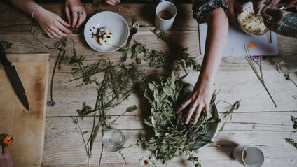 Product image for Herbal Remedies for Common Ailments