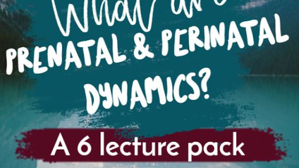 Product image for Lecture Series on Prenatal and Perinatal Dynamics