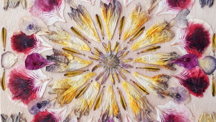 Product image for EP8: Nature Pressing and Printing