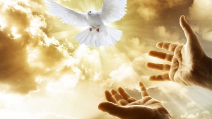 Product image for The Gifts And Baptism Of The Holy Ghost