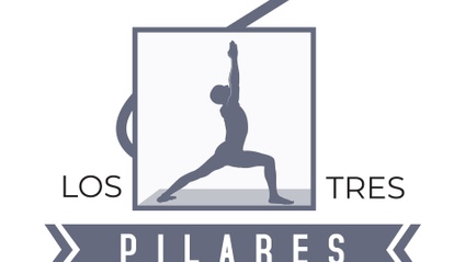 Product image for Pilares de la Enseñanza del Yoga