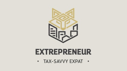 Product image for Tax-Savvy Expat: Entrepreneur